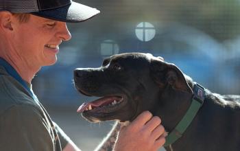 A profile of a man wearing a baseball-style hat, smiling and looking at a black Labrador type dog wearing a green collar 
