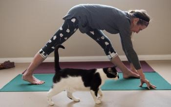 Woman doing yoga on teal mat with black and white cat walking in front