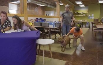 Two women sitting at table looking at computer while one holds dog on leash