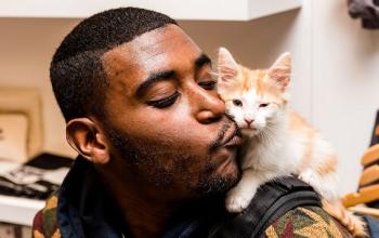 Man kissing orange and white kitten sitting on his shoulder