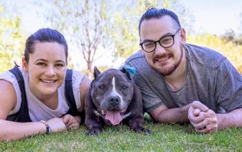 Couple lying in grass with gray dog