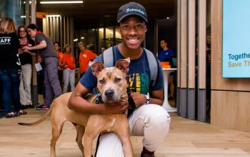 A man kneeling on the floor with a tan dog at the Best Friends Lifesaving Center in New York City