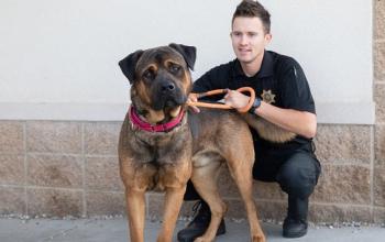 Animal Control Officer sitting outside with big black and brown dog