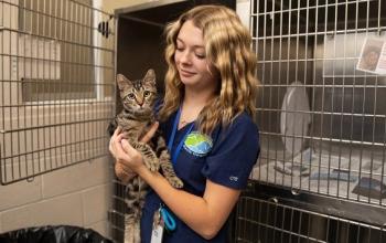 Shelter worker holding cat in front of kennels