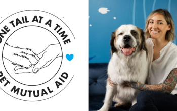 One Tail at a Time Pet Mutual Aid
