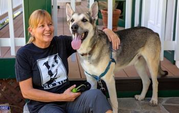 German shepherd standing on porch next to woman in black no kill shirt sitting down
