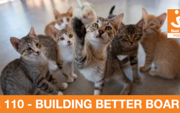 group of kittens playing