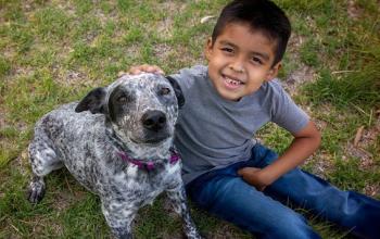 Young boy sitting in grass with black and white dog