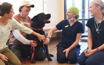 Black dog sitting between three veterinarians and a caregiver