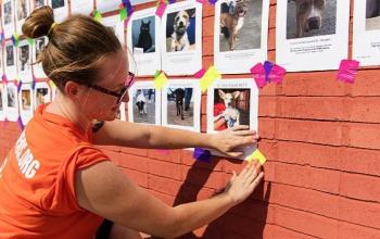 Person in orange shirt hanging up flyers