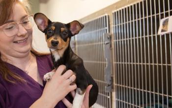 Smiling person holding a small black and tan dog in front of some stainless steel kennels