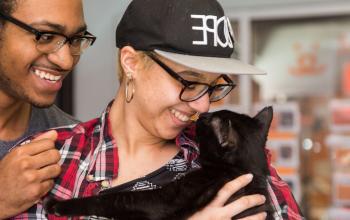 A person leaning over the shoulder of another person holding a black cat, all looking into each others eyes