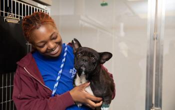 Shelter employee smiling at dog in her arms.