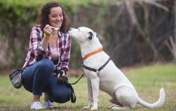 Woman kneeling next to white dog in field