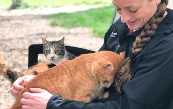 Orange cat nuzzling woman with braid in black jacket