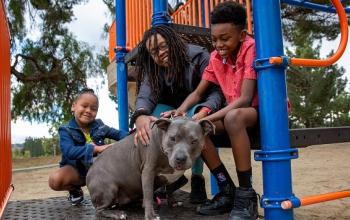 Woman, a boy, and a girl with a gray pit bull type dog on playground equipment