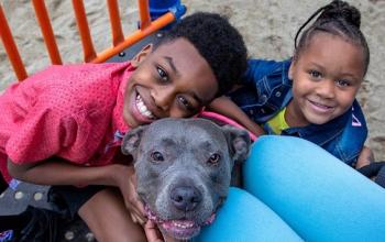 Boy in red shirt hugging gray pit bull type dog with girl in blue shirt to the right
