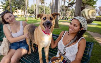 Two people sitting on an outside bench with a dog