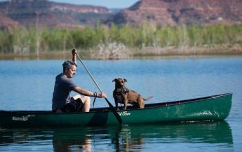 Man and dog in green canoe on water with mountains in background