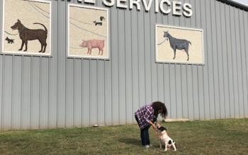 Woman with dark hair bending down to pet black and white dog in front of gray building