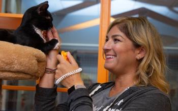 Women in dark gray sweatshirt petting black and white cat on cat tree