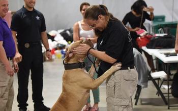 Animal Control Officer giving affection to a brown dog jumping up on her
