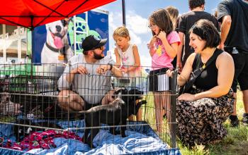 Family meeting puppies outside in the grass at a pet adoption event