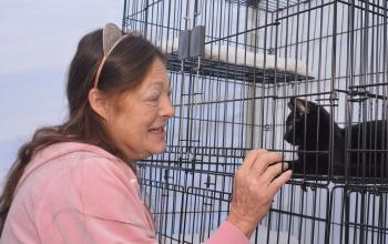 A woman in pink cat ears gently greets a kitten through its kennel at a community adoption event.