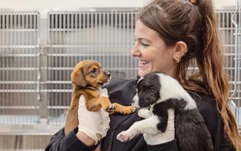 Smiling shelter staff holding up two puppies, standing in front of empty cages.