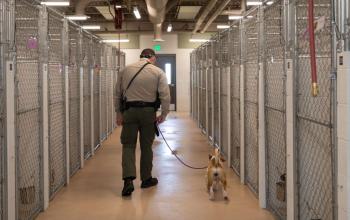 ACO and dog walking out of a shelter