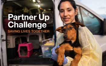 woman holding puppy outside van for transport