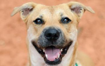 Why We Don’t (or Rarely) Use Punishment