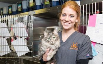 Woman in gray scrubs holding cat in front of kennels