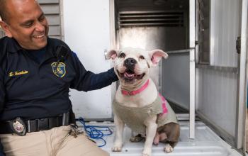 animal control officer with a dog