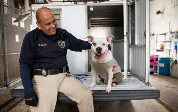 Animal services officer smiling at dog sitting on the back of a van.
