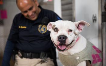 man sitting with a dog
