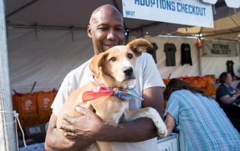 Man holding brown puppy