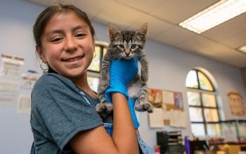 Young girl in dark gray shirt holding tabby kitten