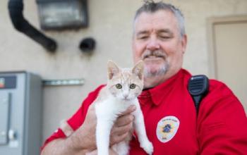 Animal Control Officer in red shirt holding an orange and white kitten