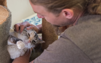 Man cradling and petting a cat