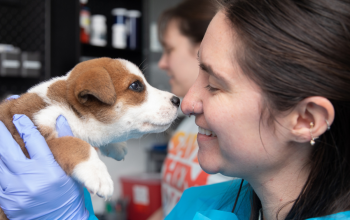 A woman in a surgical gown with a white and brown dog kissing her nose