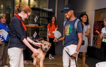 Tan dog with female volunteer and male adopter in blue shirt