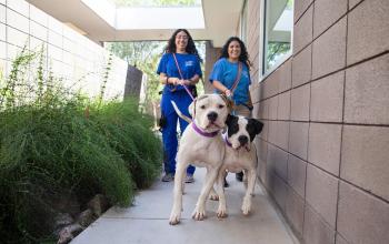 two women walking two dogs next to a shelter