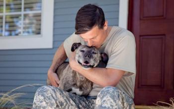 Male veteran sitting porch hugging gray pit bull type dog looking camera