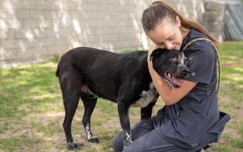 Woman kneeling in grass hugging dog