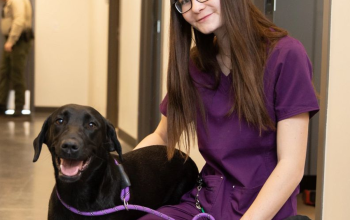 Woman with long brown hair and purple scrubs kneeling down with a black dog on a leash