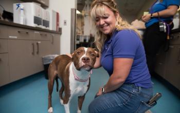Blonde woman kneeling with brown and white dog