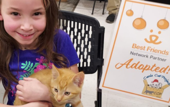 a young girl holding her newly adopted orange kitten