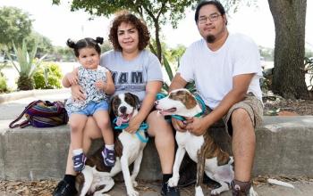 Couple and little girl sitting with two dogs