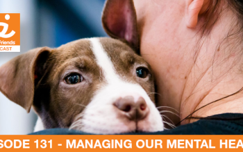 woman holding a brown and white puppy